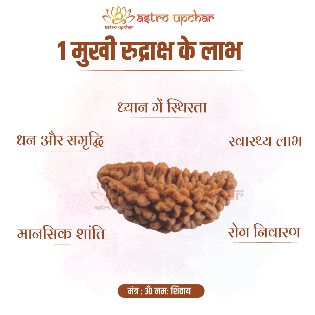 1 Mukhi Rudraksha