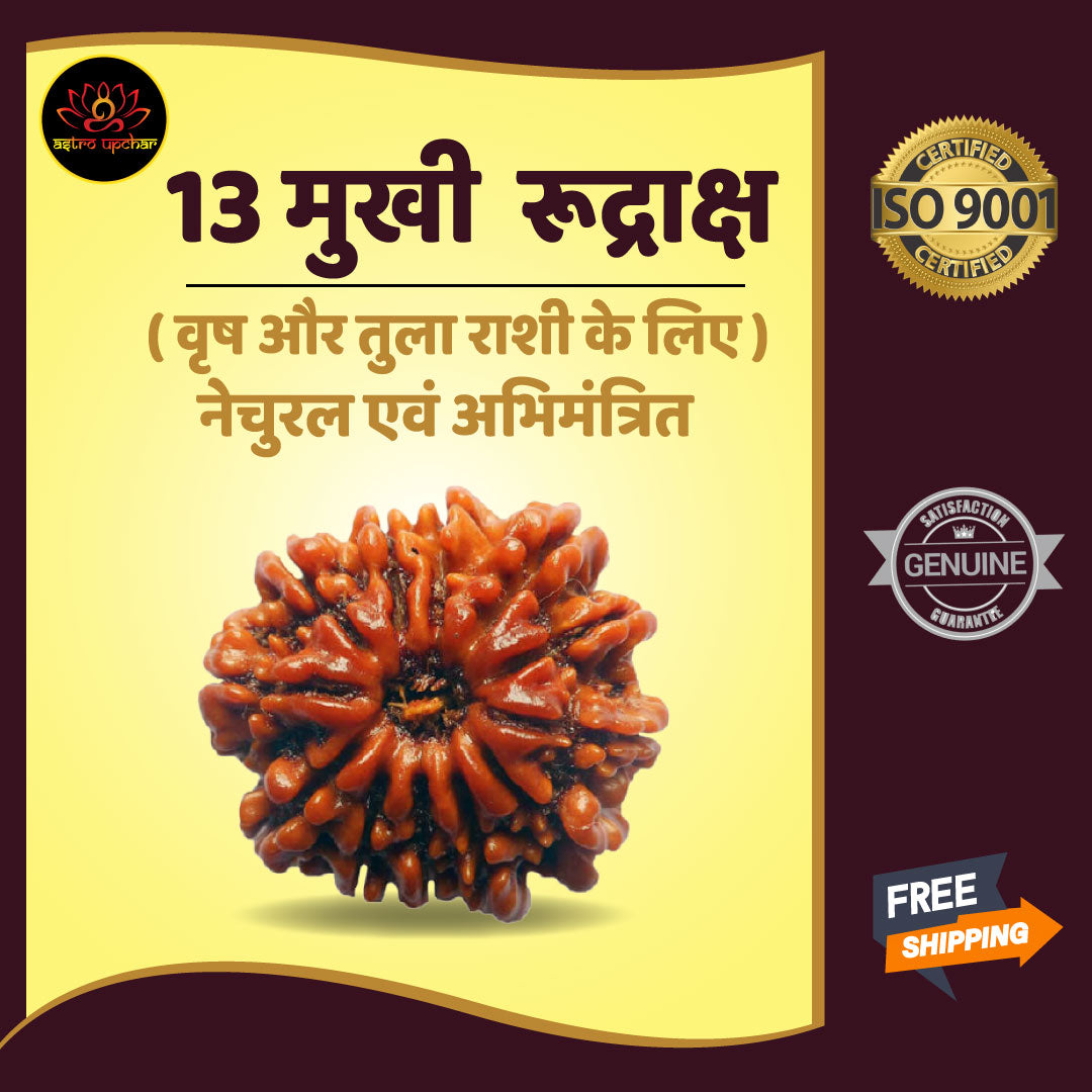 13 Mukhi Rudraksha (13 मुखी रुद्राक्ष)