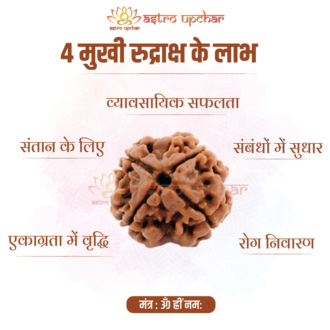 4-mukhi-rudraksha