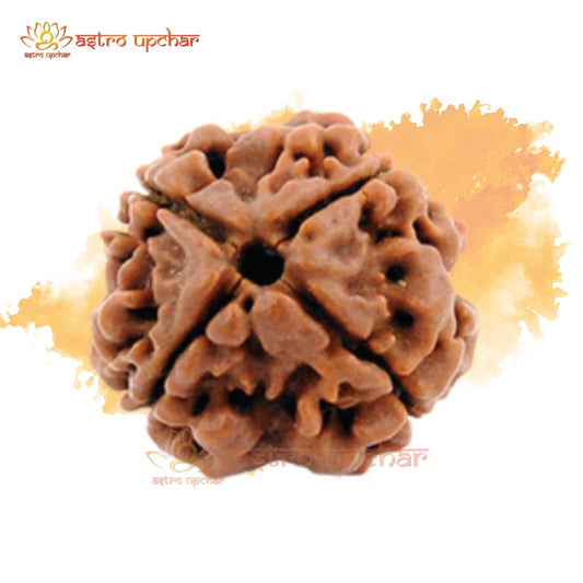 4-mukhi-rudraksha