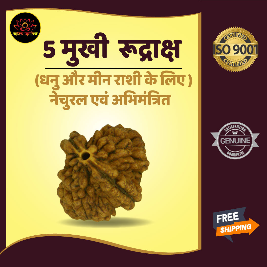 5 Mukhi Rudraksha