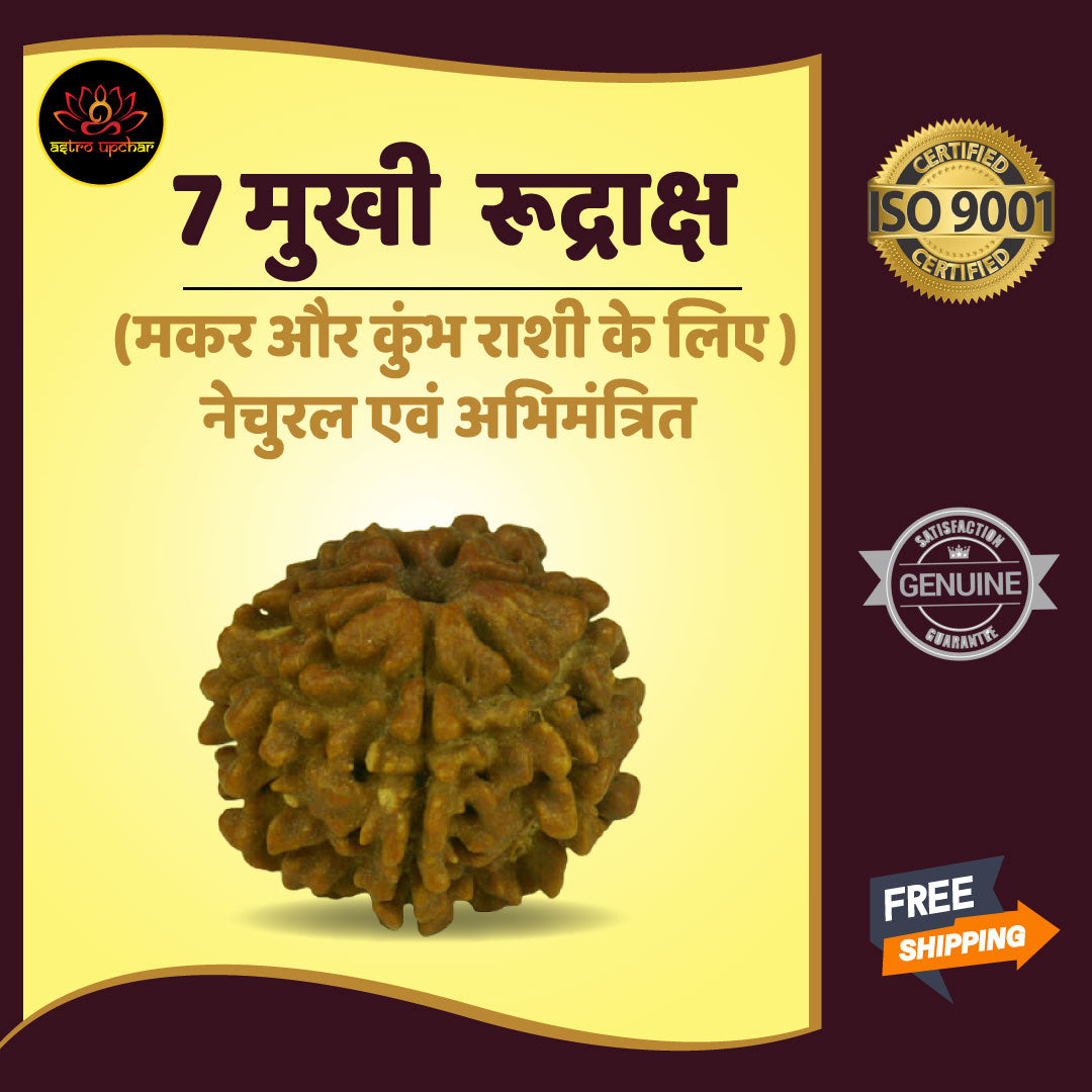 7 Mukhi Rudraksha