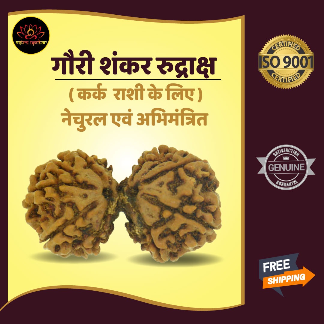 Gauri Shankar Rudraksha (गौरी शंकर रुद्राक्ष)